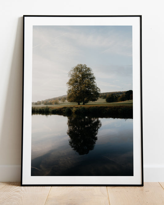 Lone Tree Reflection